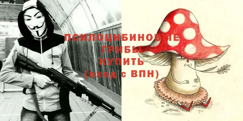 Псилоцибиновые грибы Psilocybe  Михайловка 